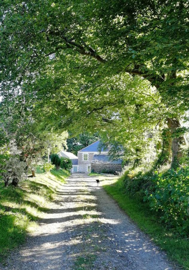 Cornwall, Looe - Magical Pendriffey Pelynt Eksteriør billede