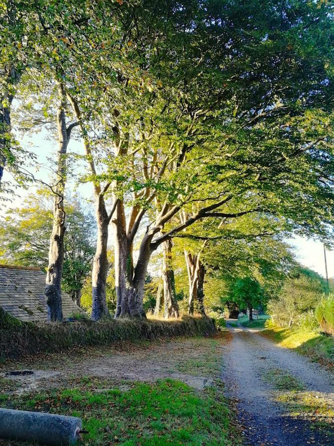 Cornwall, Looe - Magical Pendriffey Pelynt Eksteriør billede